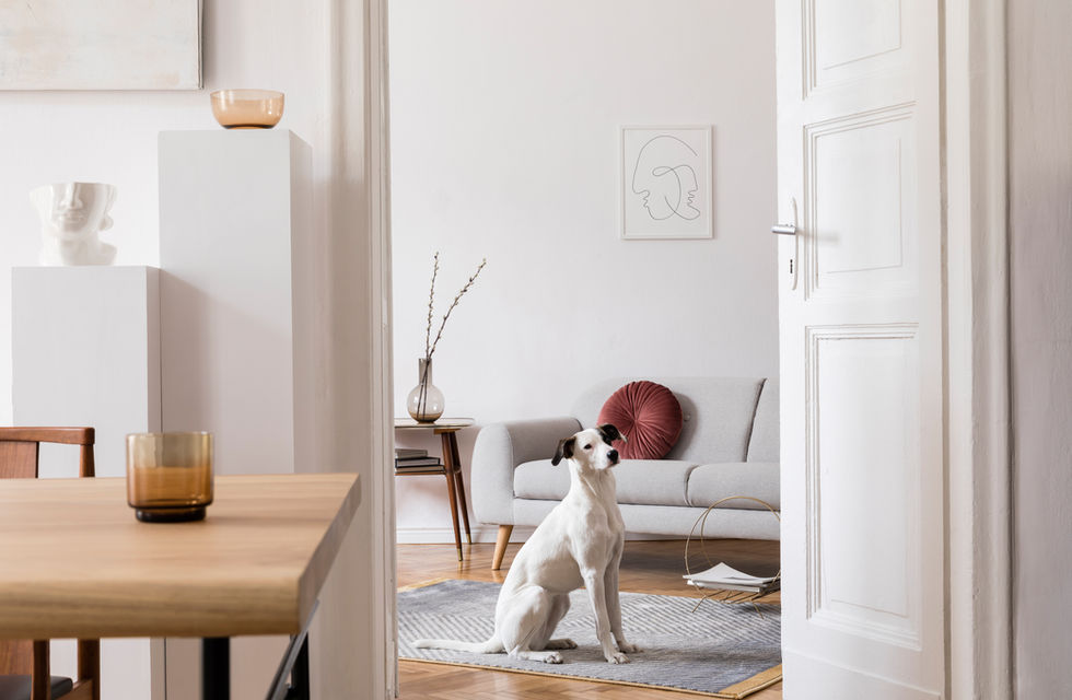 nordic interior design in singapore that blends comfort with functionality
