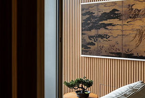 terrace house renovation