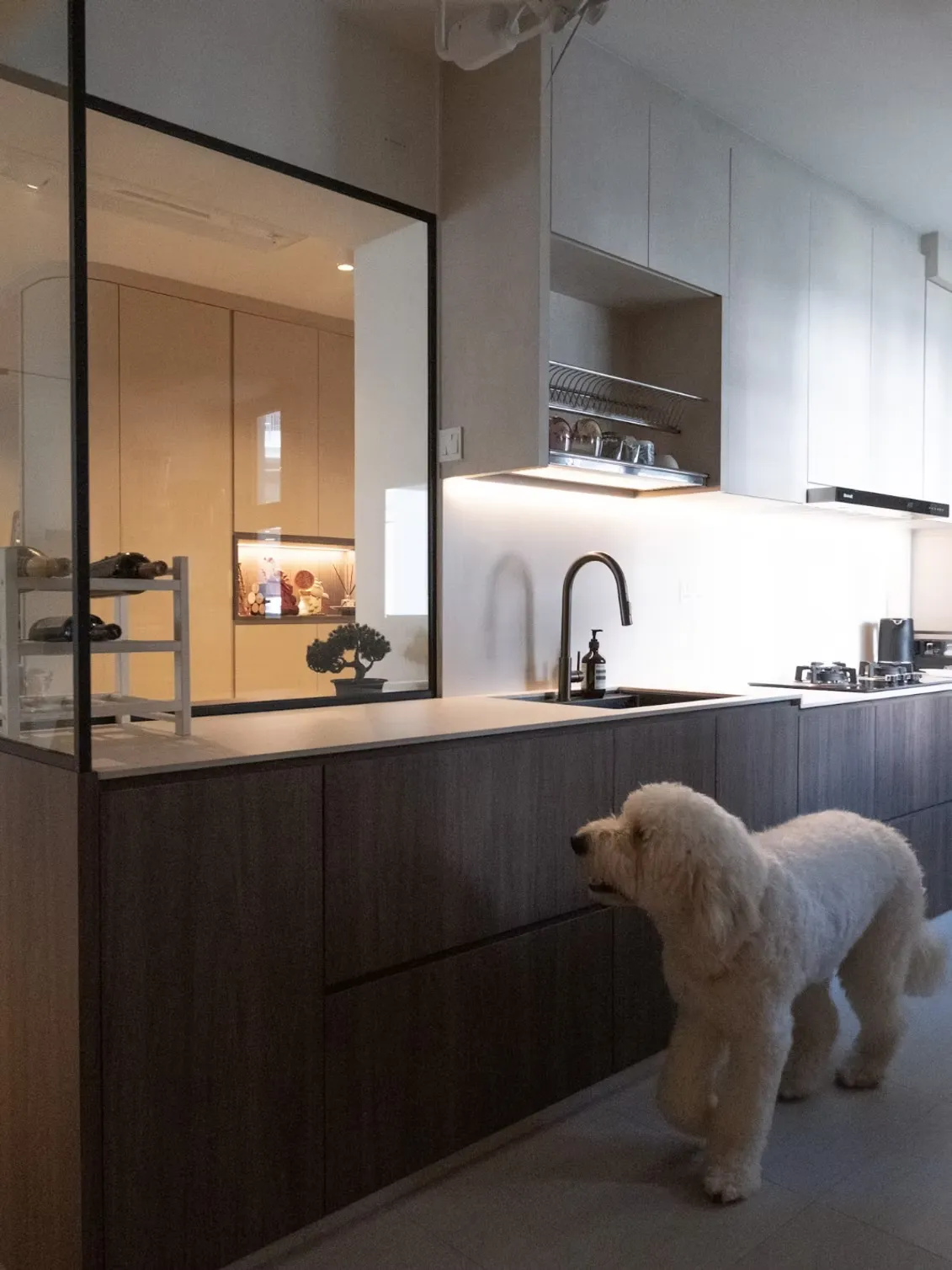 refined living plan feature image