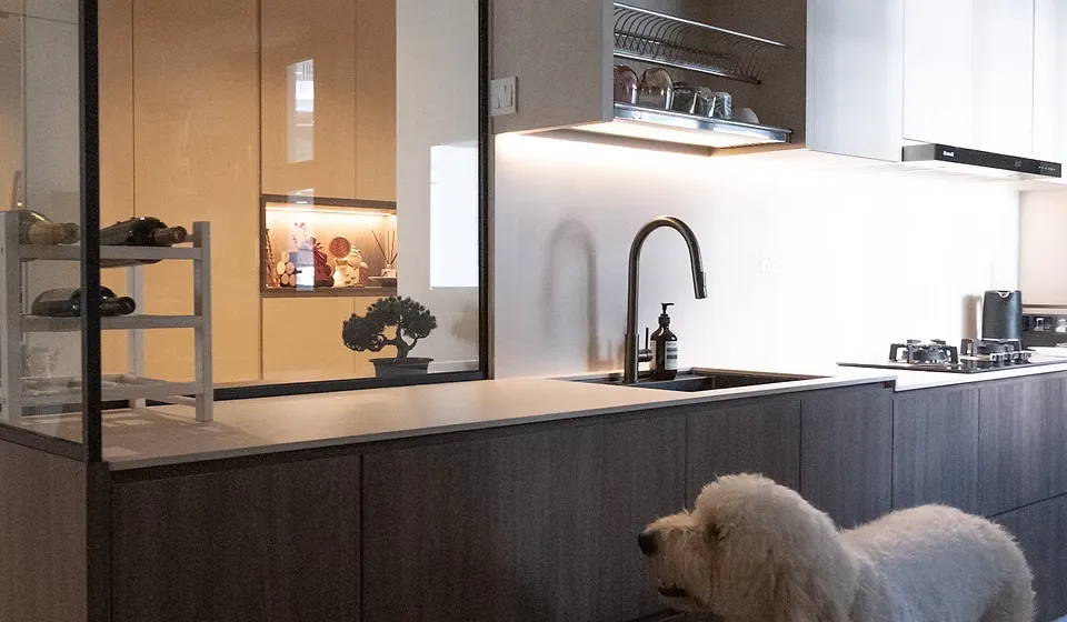 Open Shelving in Kitchens Stylish or Impractical