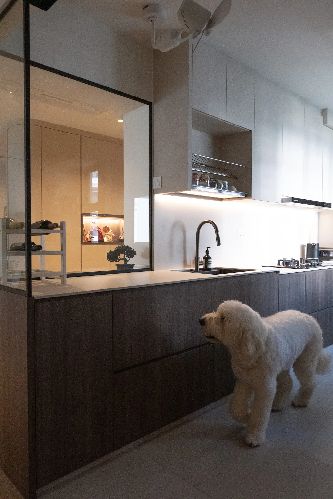 Open Shelving in Kitchens: Stylish or Impractical?